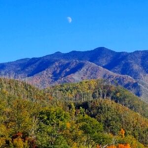 Meet your Posher, Leslie